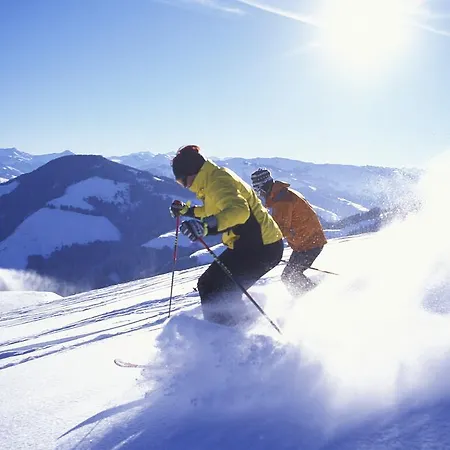 酒店 Tennenwirt 3*