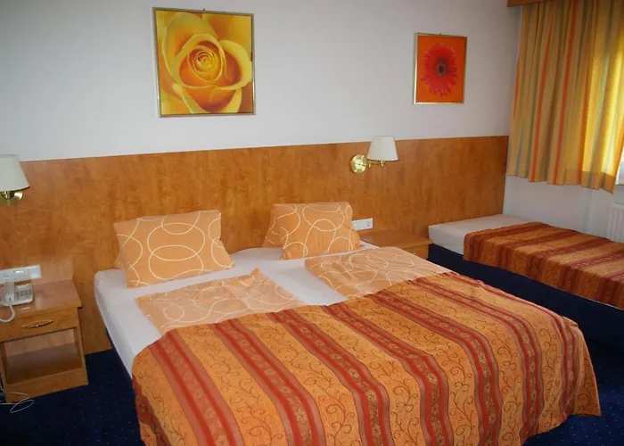 Tennenwirt ホテル ゼル